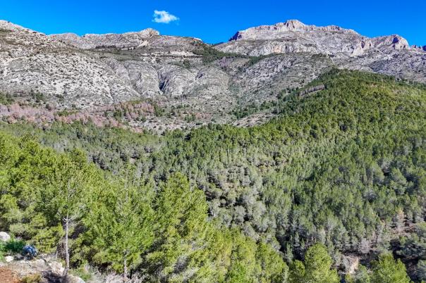 plot in Altea