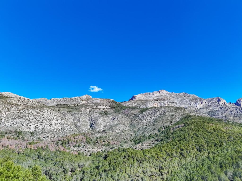 plot in Altea