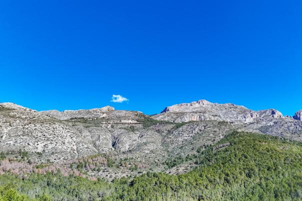 plot in Altea