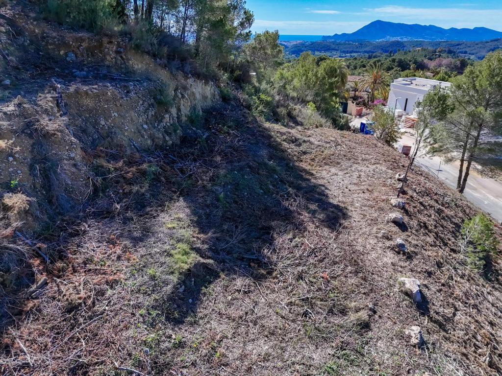plot in Altea