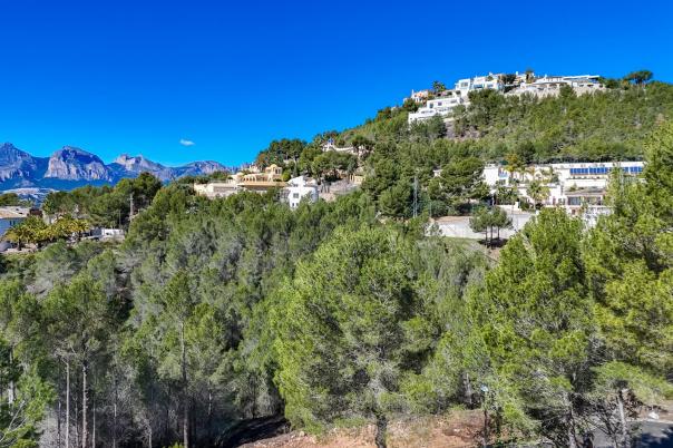 plot in Altea