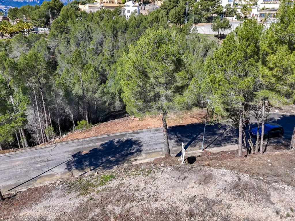 plot in Altea