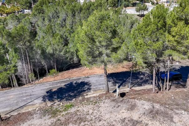 plot in Altea