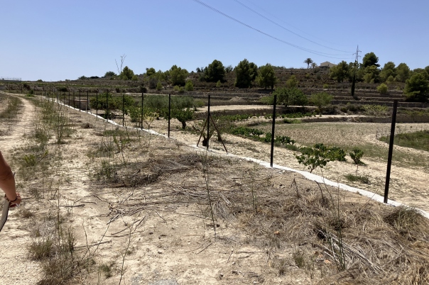 plots of land in Benissa