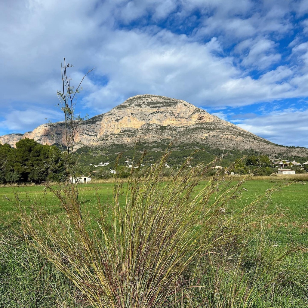 Guide to Javea Walks: Cova del Montgo/Cova Ampla