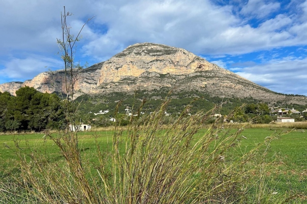 Guide to Javea Walks: Cova del Montgo/Cova Ampla