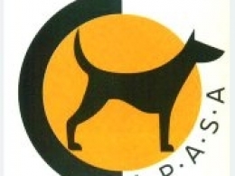 APASA Asociación Protectora de Animales - Dog Shelter