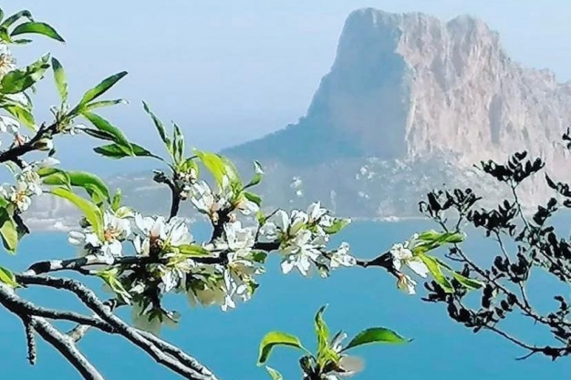 Miradores de Calpe: Mirador Monte Toix