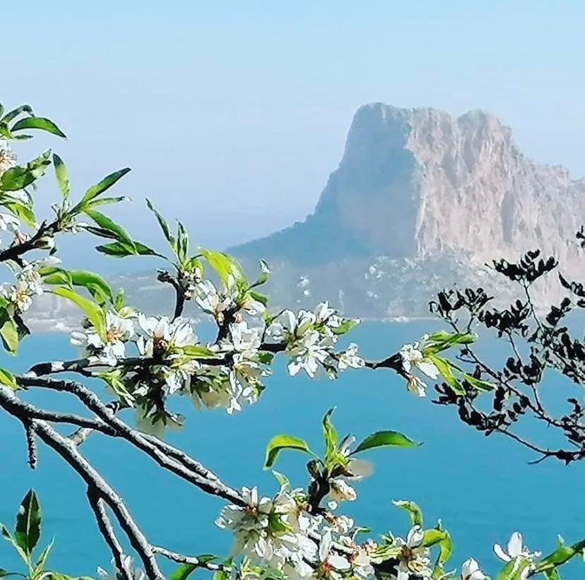 Miradores de Calpe: Mirador Monte Toix