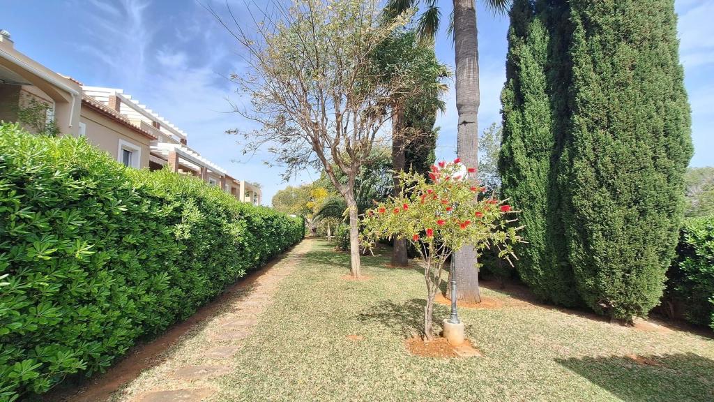 2 bed apartment in Dénia