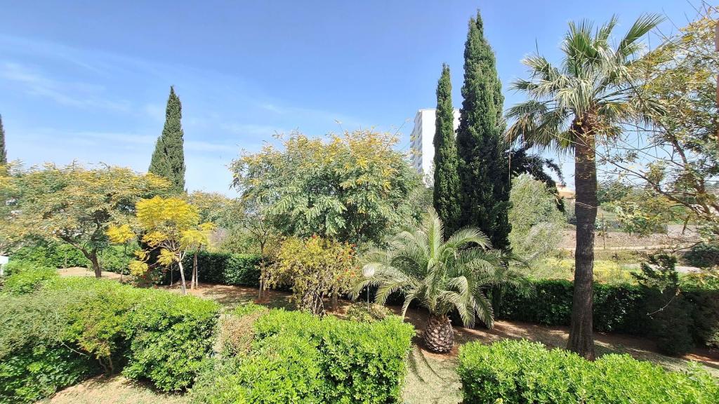 2 bed apartment in Dénia