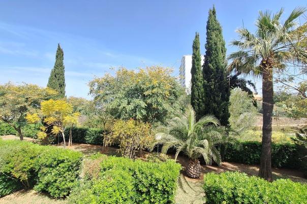 2 bed apartment in Dénia