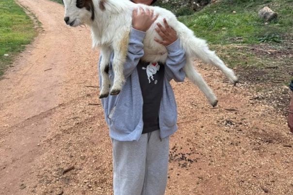 Euro Goat Trekkers - Guided walks with Goats on the Costa Blanca