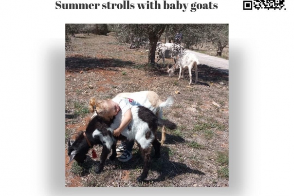 Euro Goat Trekkers - Guided walks with Goats on the Costa Blanca