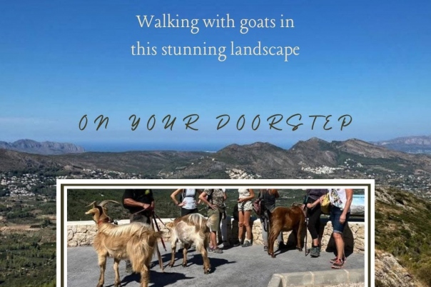 Euro Goat Trekkers - Guided walks with Goats on the Costa Blanca