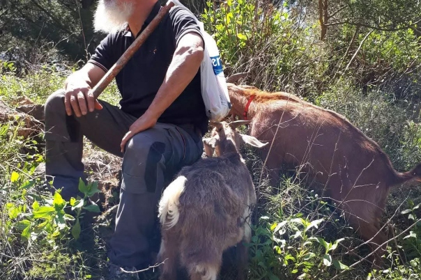 Euro Goat Trekkers - Guided walks with Goats on the Costa Blanca