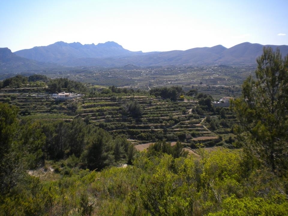 plot in Benissa