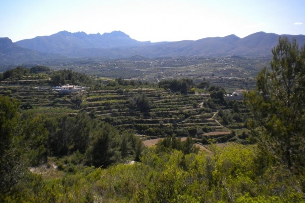 plot in Benissa