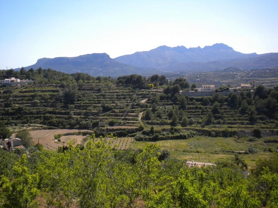 plot in Benissa