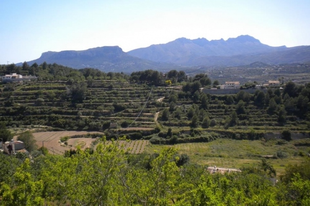 plot in Benissa