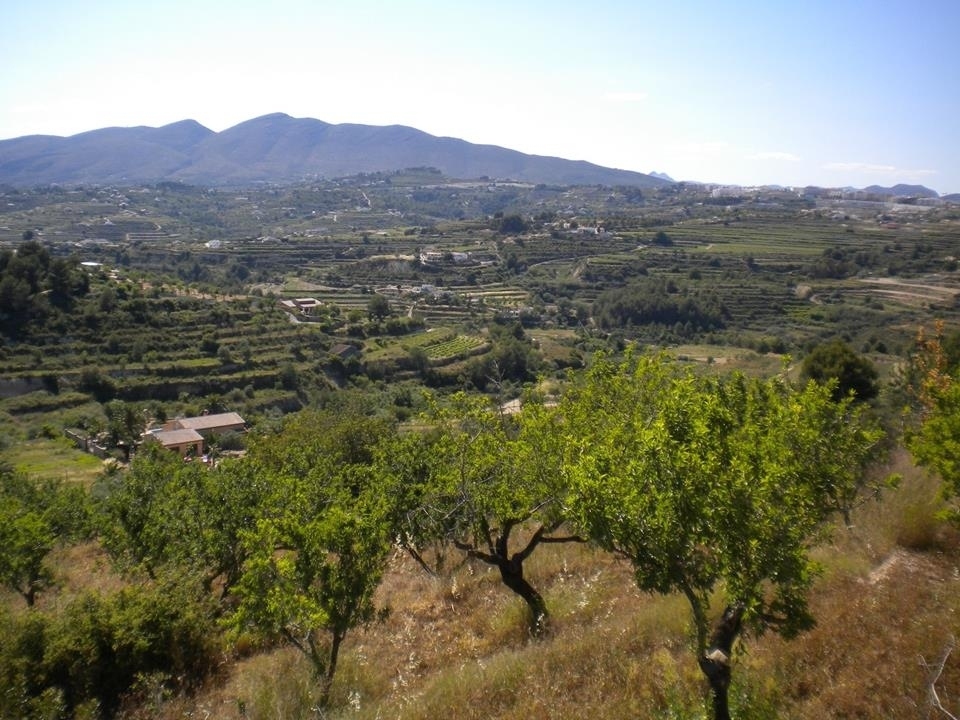 plot in Benissa