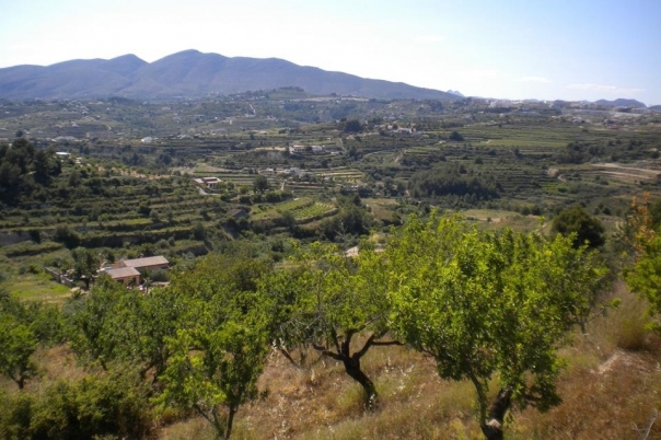 plot in Benissa