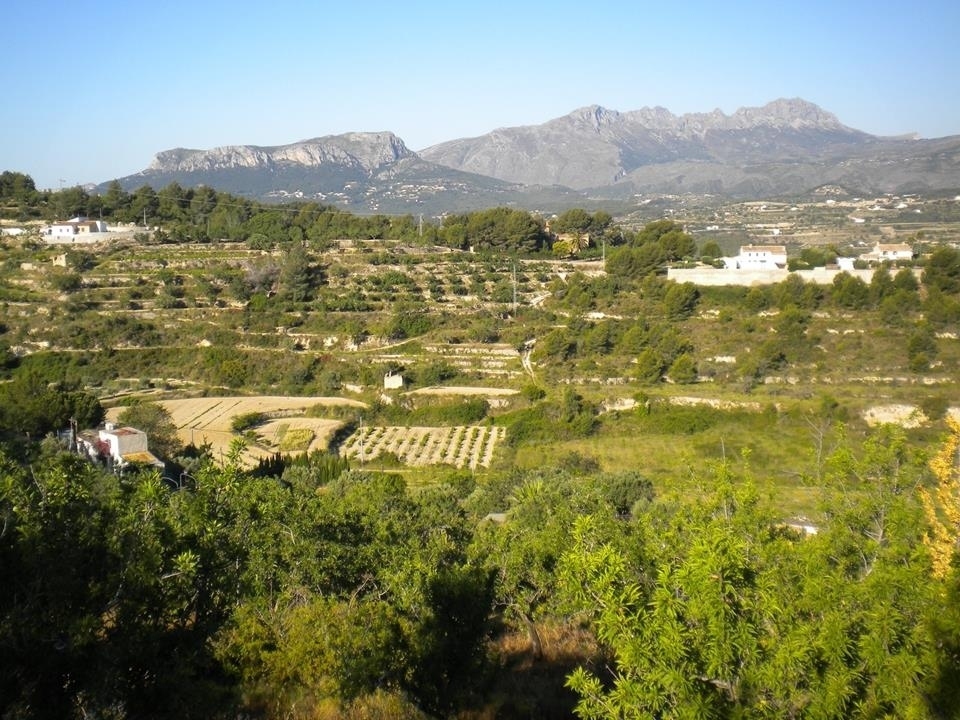 plot in Benissa