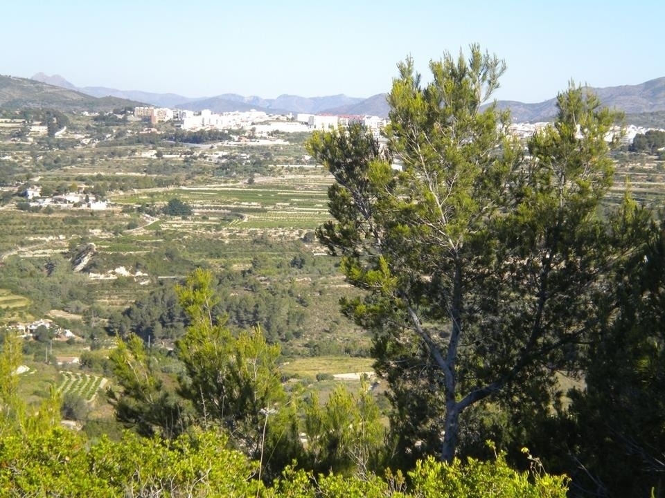 plot in Benissa