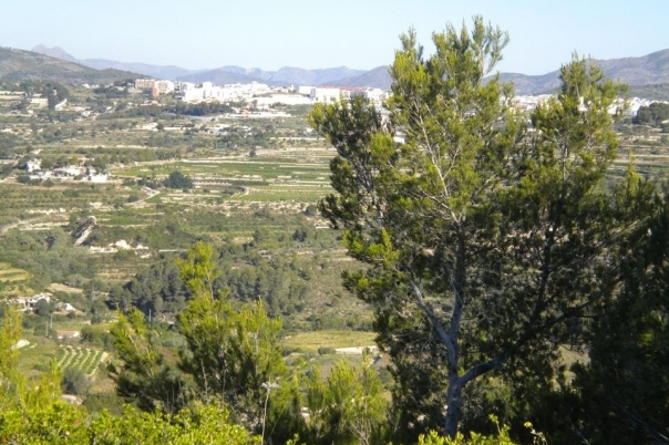 plot in Benissa