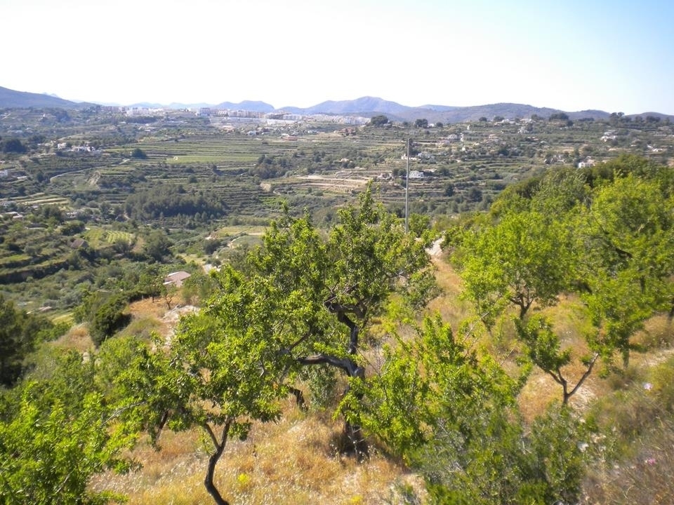 plot in Benissa