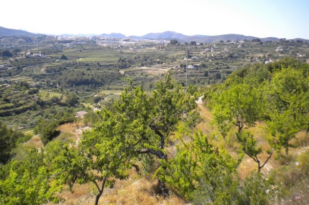 plot in Benissa