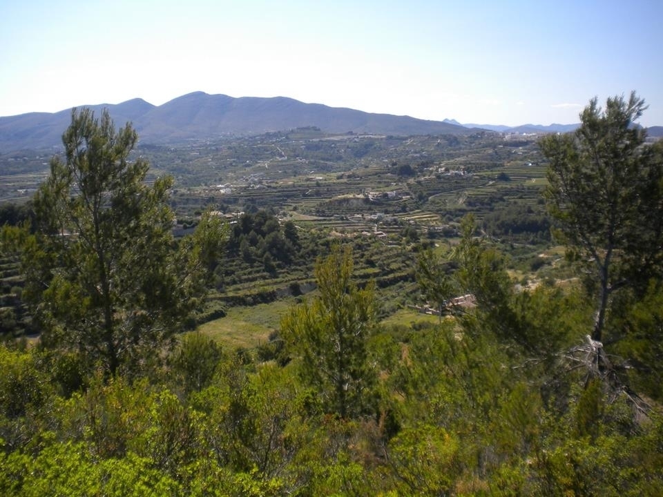 plot in Benissa