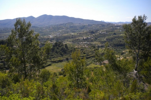 plot in Benissa