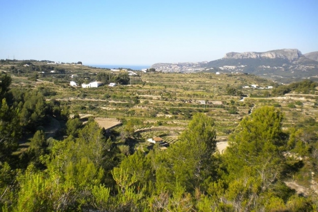 plot in Benissa