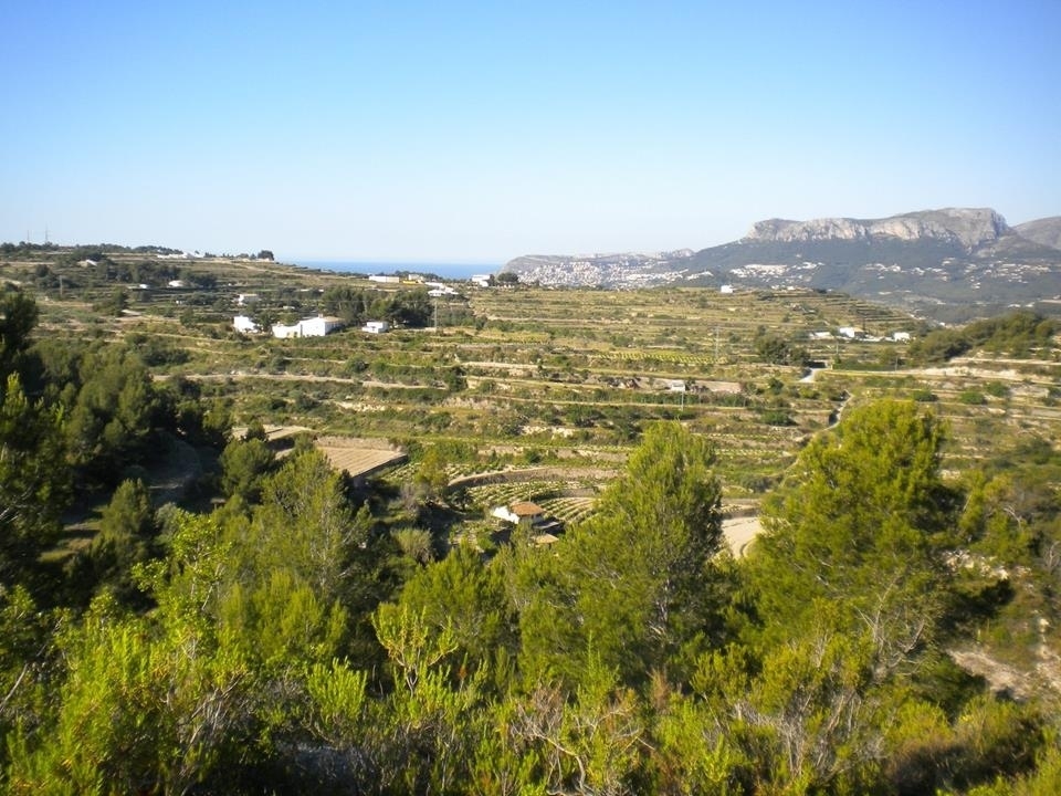 plot in Benissa