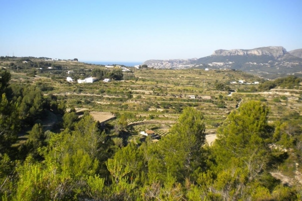 plot in Benissa