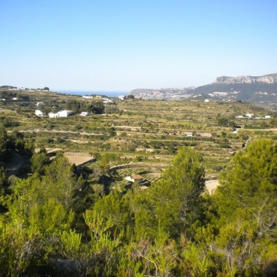 plot in Benissa