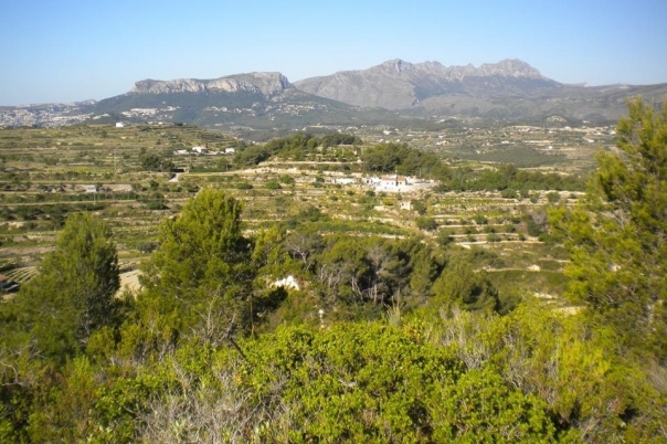 plot in Benissa
