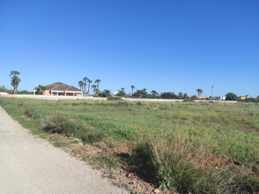 plot in Denia
