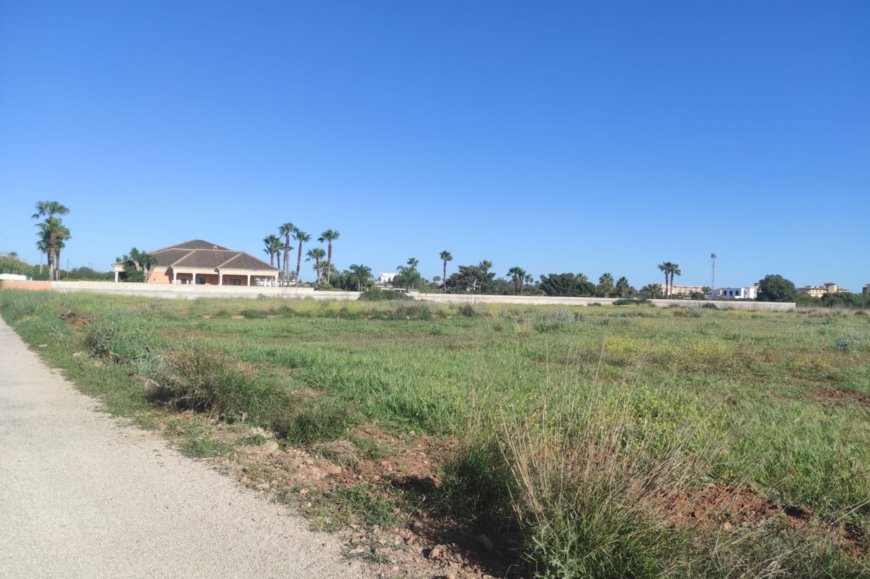 plot in Denia