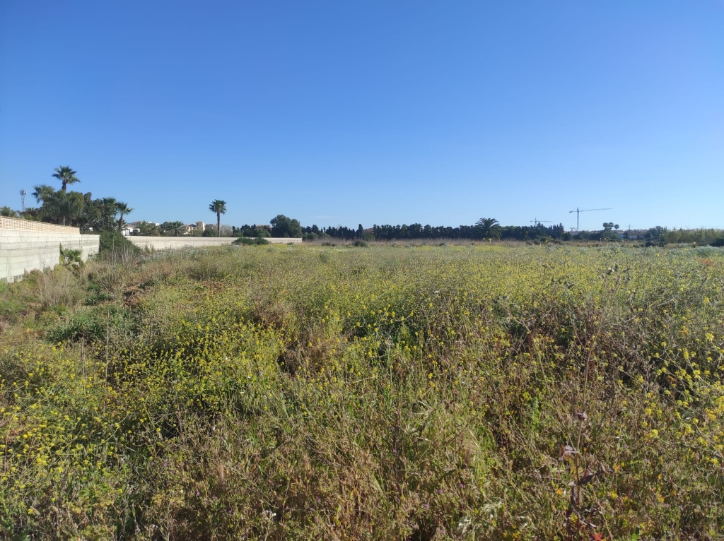 plot in Denia