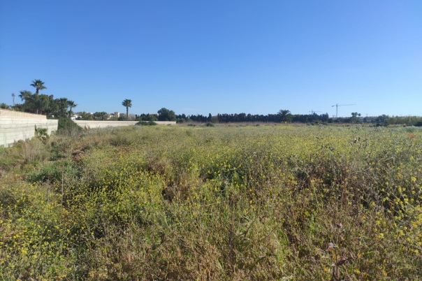 plot in Denia