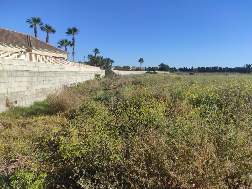 plot in Denia