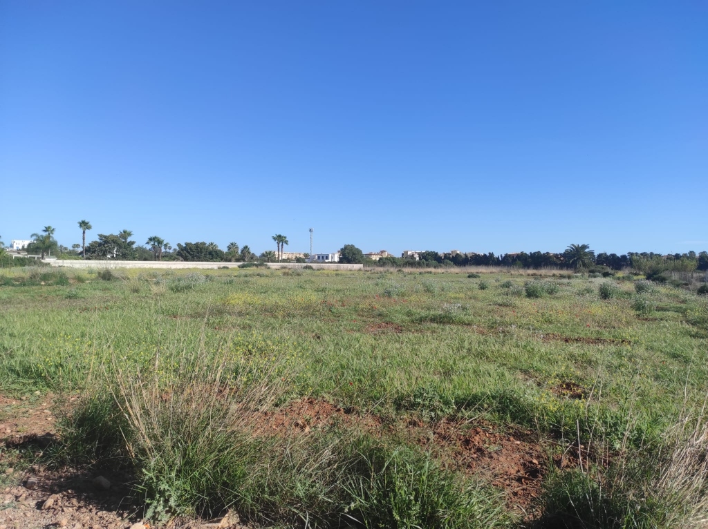 plot in Denia