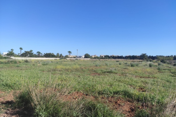 plot in Denia
