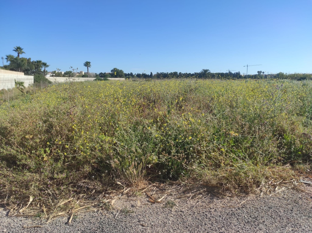 plot in Denia