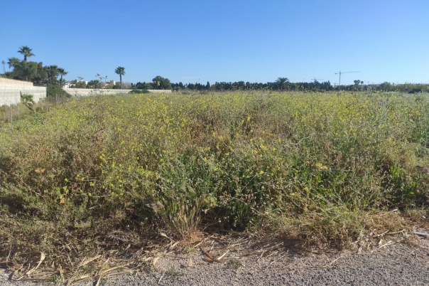 plot in Denia