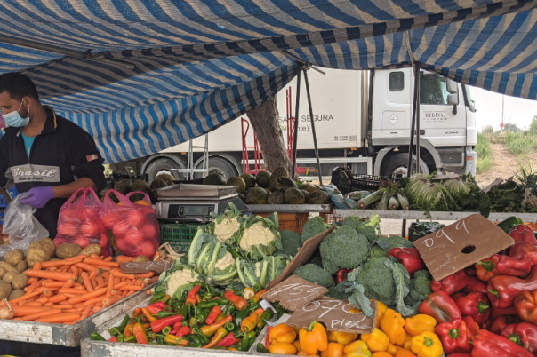 Markets Guide: Pedreguer Sunday Market