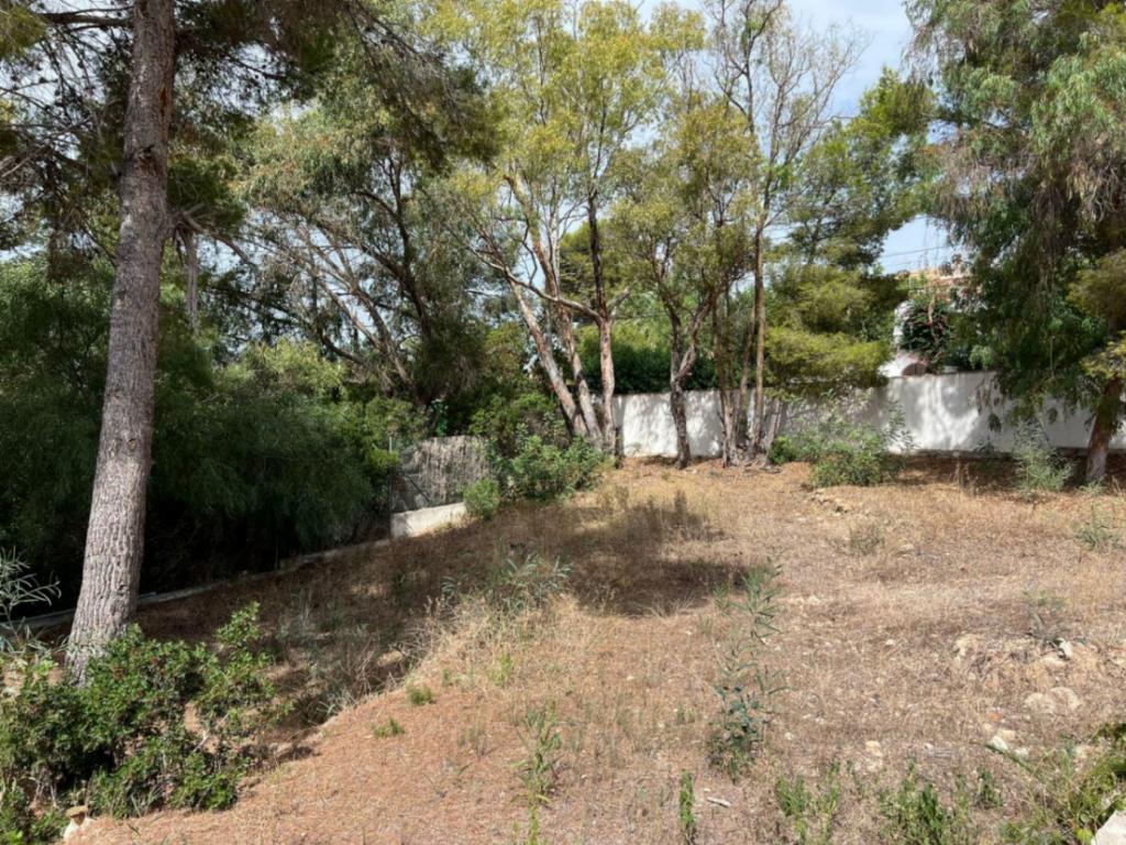plot in Moraira