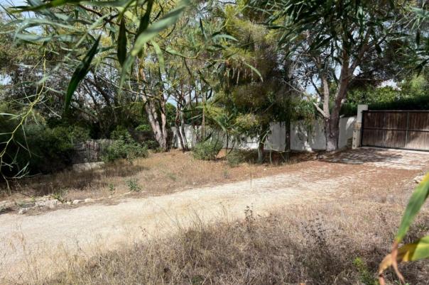 plot in Moraira